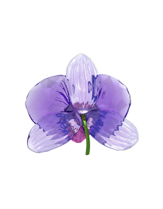 Floare swarovski Swarovski Idyllia SCS Orchid Petal 5669354, 003, bb-shop.ro