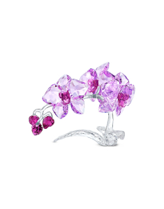 Obiect decorativ swarovski Swarovski Crystal Flowers 5520373, 02, bb-shop.ro