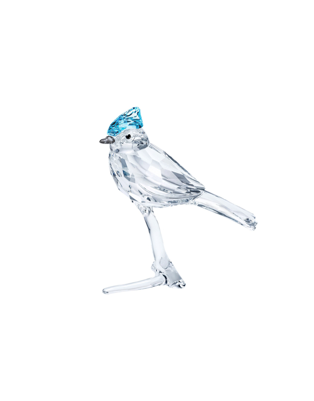 Pasari si fluturi swarovski Swarovski Feathered Beauties Blue Jay 5470647, 01, bb-shop.ro