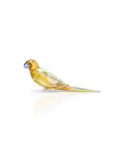 Pasari si fluturi swarovski Swarovski Yellow Parakeet Jungle Beats 5619217, 02, bb-shop.ro