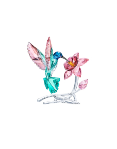 Pasari si fluturi swarovski Swarovski Crystal Paradise Hummingbird 5461872, 02, bb-shop.ro