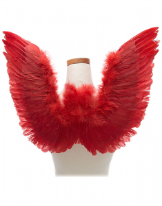 Accesoriu petrecere Claire's Feather Wings 95039, 001, bb-shop.ro