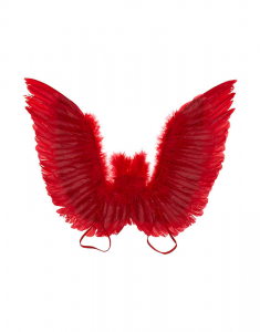 Accesoriu petrecere Claire's Feather Wings 95039, 02, bb-shop.ro