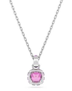 Bijuterii SWAROVSKI, Colier Swarovski Birthstone februarie 5651708, bb-shop.ro