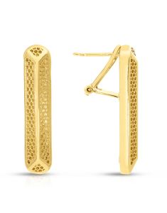 Bijuterii cu tortita aur 14 kt, Cercei aur 14 kt EX231205Y, bb-shop.ro