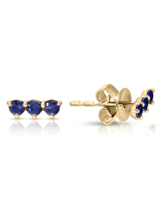 Bijuterii aur 14 kt safir, Cercei aur 14 kt stud cu safire SE46820-SA-Y, bb-shop.ro