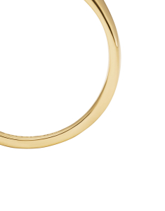 Bijuterii, Inel Fossil Raquel JF04952710, bb-shop.ro