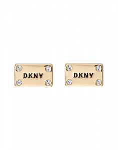 Cercei DKNY Logo Plackard 5520020, 02, bb-shop.ro