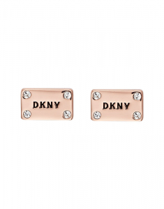 Cercei DKNY Logo Plackard 5520021, 02, bb-shop.ro