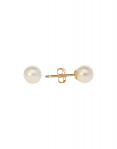 Bijuterii de lux stud, Cercei Comete Gold Easy Basic OP011Y, bb-shop.ro