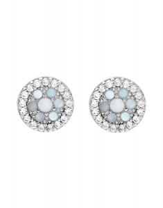 Bijuterii sidef, Cercei Fossil Sterling Silver JFS00518040, bb-shop.ro