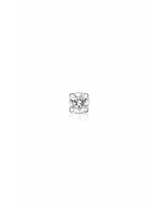 Cercei Vida Diamonds for Men 25827E-WD4WP-p, 02, bb-shop.ro