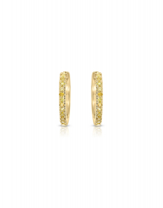 Bijuterii rotunzi dama VIDA, Cercei Vida Colored Diamonds 10307E2-YD8YX, bb-shop.ro
