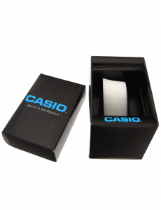 Ceas de mana Casio Collection DW-291H-1AVEF, 002, bb-shop.ro