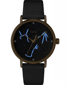 Ceas de mana Timex® Celestial Opulence TW2T87600, 004, bb-shop.ro