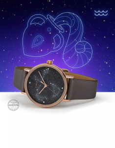 Ceas de mana Timex® Celestial Opulence TW2T87700, 001, bb-shop.ro