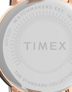 Ceas de mana Timex® Standard TW2U14000, 004, bb-shop.ro