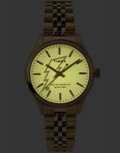 Ceas de mana Timex® Waterbury Neon TW2U23200, 004, bb-shop.ro