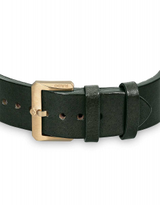 Ceasuri automatice, Ceas Rado Captain Cook Automatic Bronze R32504315, bb-shop.ro