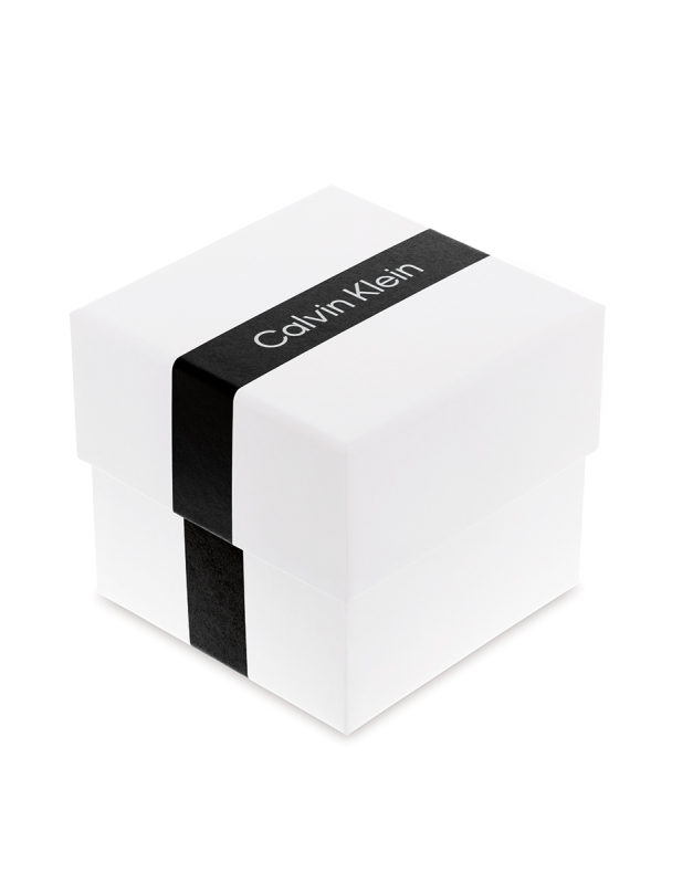 Ceas de mana Calvin Klein Casual Essentials 25200201, 4, bb-shop.ro