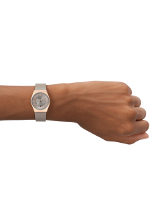 Ceasuri, Ceas Skagen Grenen Lille SKW3052, bb-shop.ro