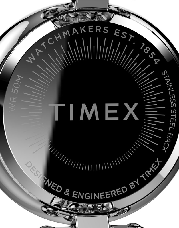 Ceas de mana Timex® Asheville TW2V02700, 4, bb-shop.ro