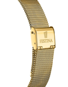 Ceasuri barbatesti, Ceas Festina Swiss Made F20022/1, bb-shop.ro