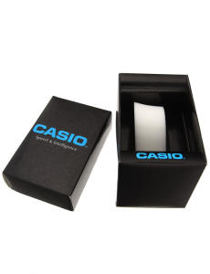 Ceas de mana Casio Collection Women LTP-B165GL-2BVEF, 002, bb-shop.ro