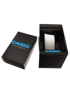 Ceas de mana Casio Collection Timeless Women LW-205H-2AEF, 001, bb-shop.ro