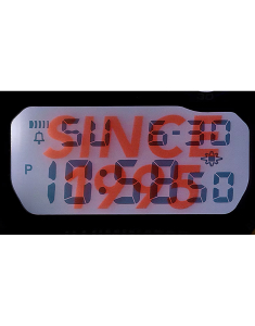 Ceasuri, Ceas G-Shock Classic 30th Anniversary DW-6900TR-4ER, bb-shop.ro