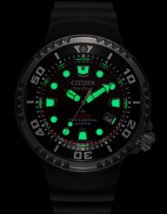 Ceasuri de Lux, Ceas Citizen Promaster Professional Diver 300 BN1024-01Z, bb-shop.ro