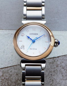 Ceasuri de Lux, Ceas Citizen L Eco-Drive EM1136-87D, bb-shop.ro