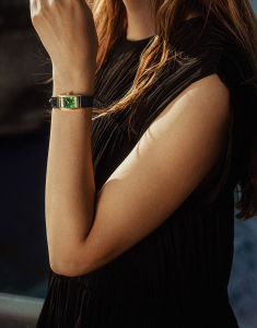 Ceasuri, Ceas Hamilton American Classic Ardmore Small H11261760, bb-shop.ro