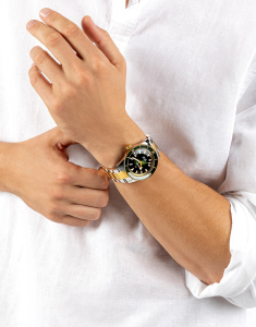 Ceasuri, Ceas Rado Captain Cook Automatic R32138303, bb-shop.ro
