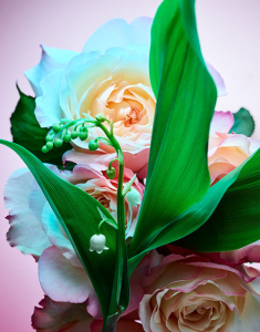 BVLGARI Rose Goldea Blossom Delight Eau de Parfum 783320404702, 002, bb-shop.ro