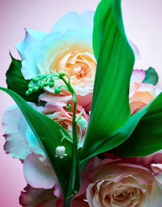 BVLGARI Rose Goldea Blossom Delight Eau de Parfum 783320404719, 002, bb-shop.ro