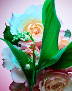 BVLGARI Rose Goldea Blossom Delight Eau de Parfum 783320404726, 002, bb-shop.ro
