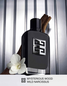 GIVENCHY Gentleman Society Eau de Parfum 3274872448773, 003, bb-shop.ro