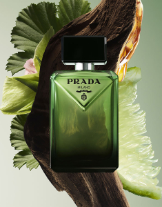Cosmetice, PRADA Paradigme Eau de Parfum 50ml 3614274182897, bb-shop.ro