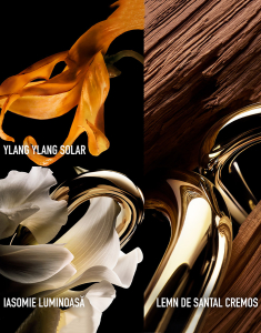 Cosmetice, RABANNE Million Gold for Her Parfum Eau de Parfum 50ml 3349668645213, bb-shop.ro