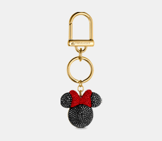 accesorii genti dama